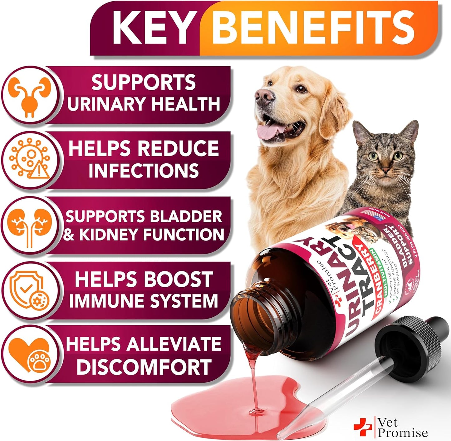Cat & Dog UTI Treatment - Urinary Tract Infection Treatments with Cranberry - Dog & Cat UTI Medicine - Advanced Kidney & Bladder Support Multivitamin - Renal Health Supplement Vitamins - Made in USA