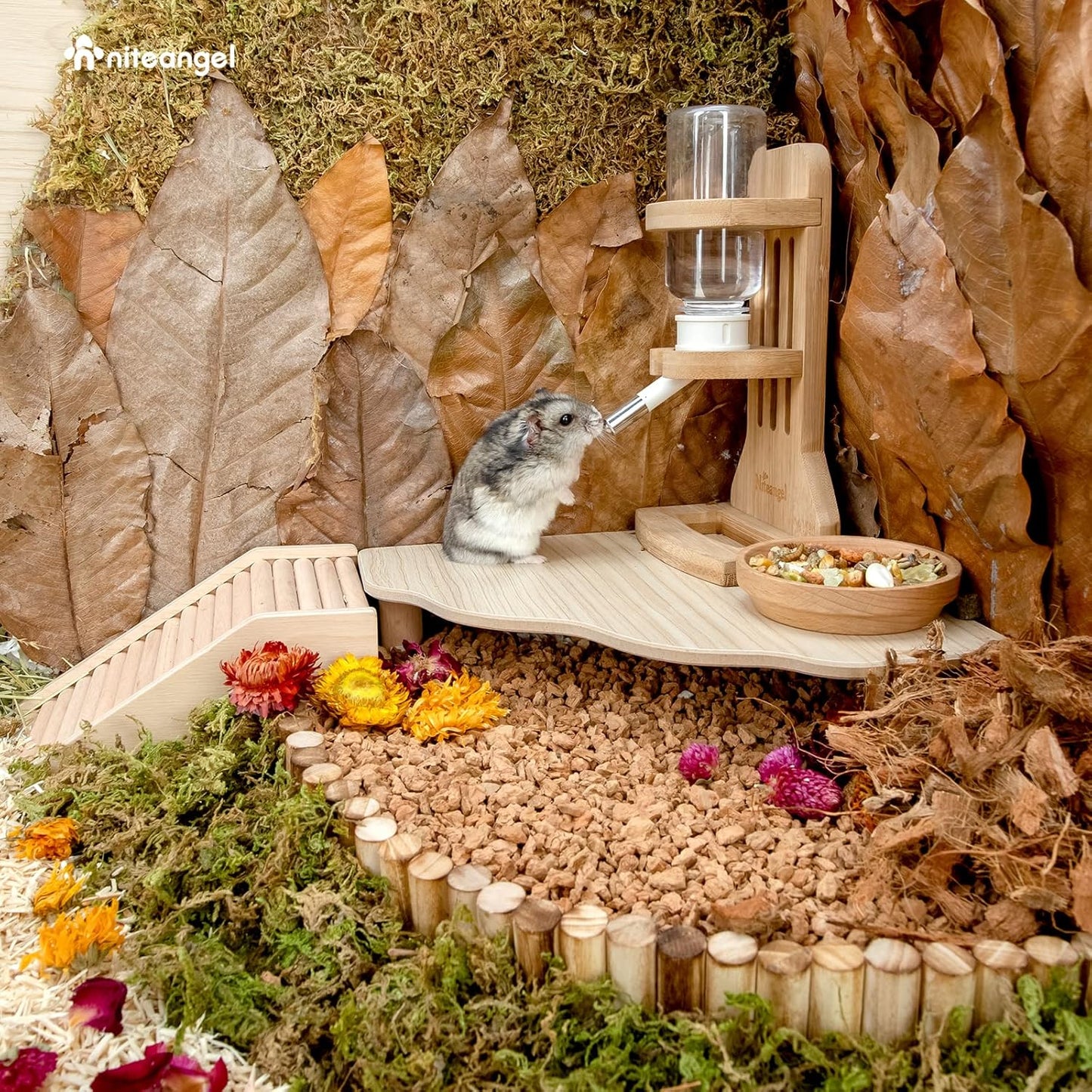 Niteangel Hamster Play Wooden Platform for Dwarf Syrian Hamsters Gerbils Mice Degus or Other Small Pets (Triangle - 5.9'' Height, Burlywood)