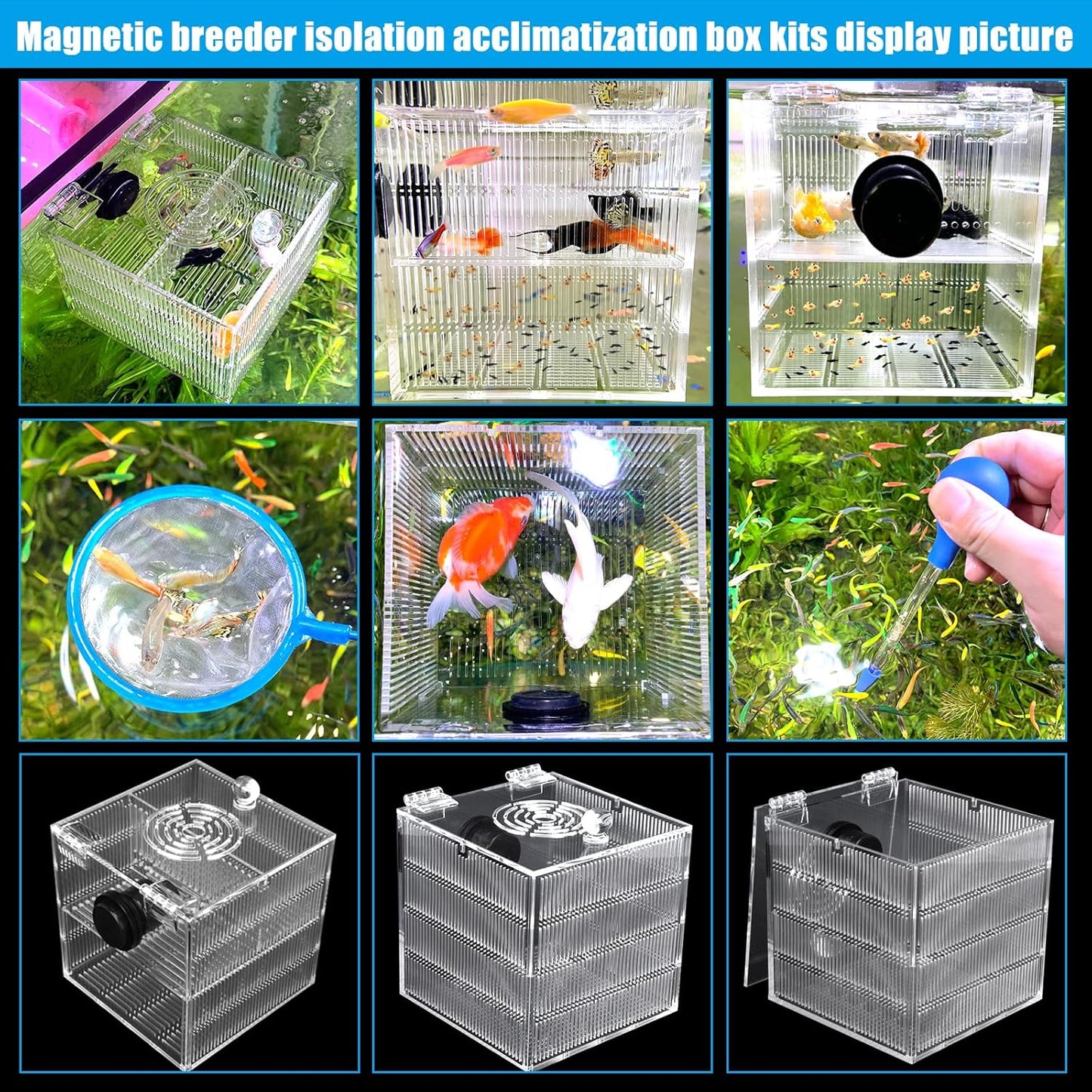 Magnetic Fish Breeder Box for Aquarium Tank Isolation Box Acclimation Hatchery breeding Incubator for Guppy Baby Betta Saltwater Clownfish Coral Anemones Aggressive or Injured Fish