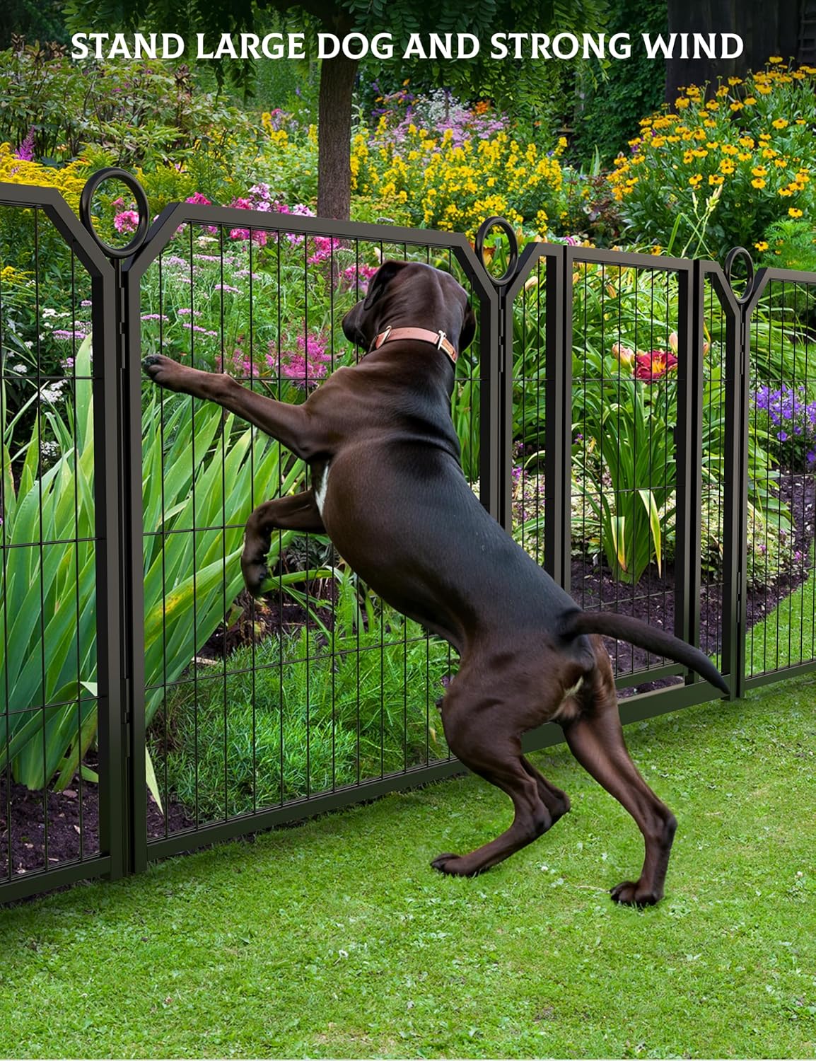 GarveeLife Dog Playpen, 24/32/40 in Height in, Folding Indoor Outdoor Anti-Rust Dog Exercise Fence, Pet Gates with Door for Large Medium Small Dogs and Pet (8 Panels,32 in)