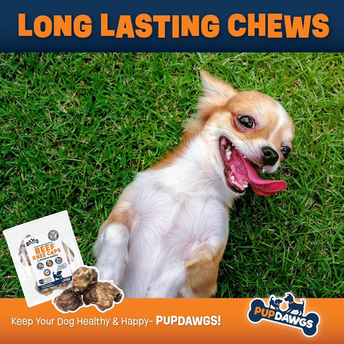 Beef Knee Cap Bones for Dogs Made in The USA | Single Ingredient Long Lasting & Protein Rich (3 Piece Pack)