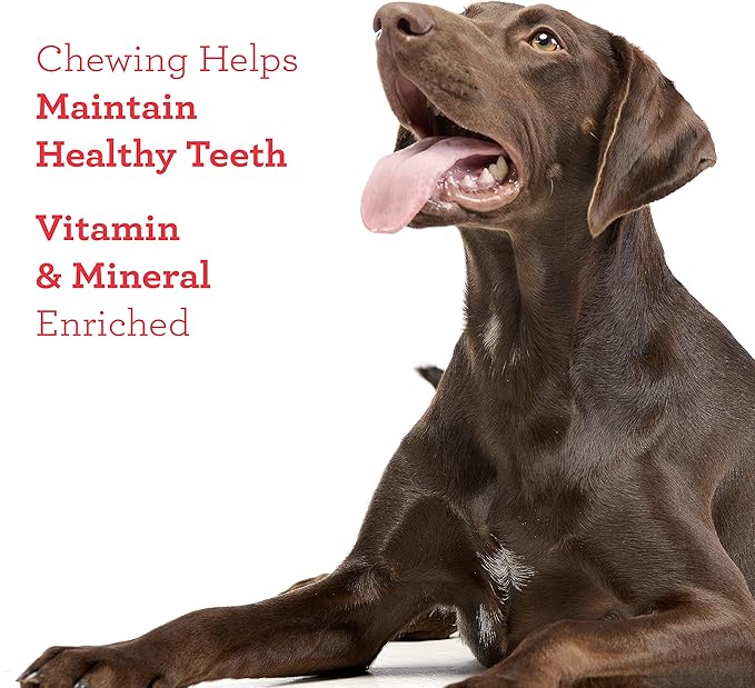 DreamBone Rawhide-Free Grill Masters, Treat Your Dog to a Chew Made with Real Meat and Vegetables