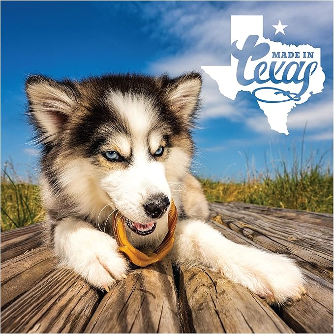 N-Bone Puppy Teething Rings Taste of Texas Burnt Ends Flavor 3 Count