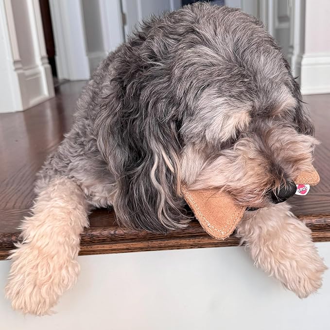 SPOT Dura-Fused Leather Small Bone Dog Toy – Durable Chew Toy with Real Leather & Jute, Squeaker, and Double-Stitched Seams for Moderate Chewers, Small & Medium Dogs, 7in