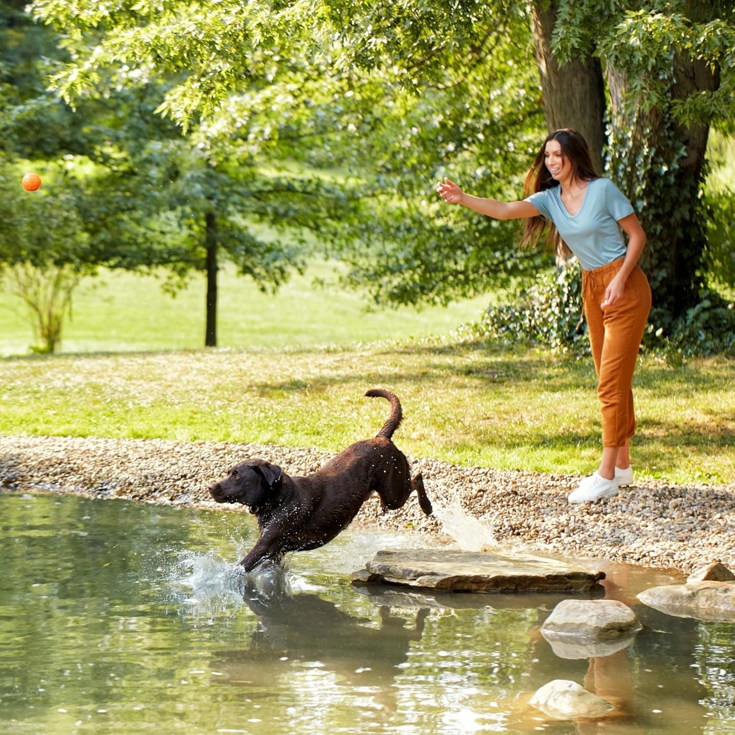 Nature’s Recipe Grain Free Dry Dog Food Salmon, Sweet Potato & Pumpkin Recipe, 24 lb. Bag