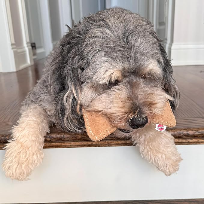SPOT Dura-Fused Leather Small Bone Dog Toy – Durable Chew Toy with Real Leather & Jute, Squeaker, and Double-Stitched Seams for Moderate Chewers, Small & Medium Dogs, 7in