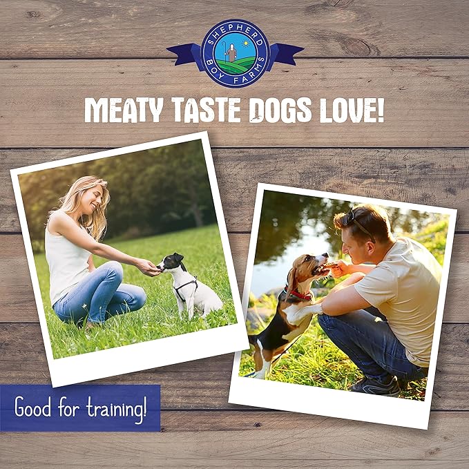 Freeze Dried Dog and Cat Treats, Beef Heart, All Natural Single Ingredient Freeze-Dried Dog Treat & Snacks, Made in USA, High Protein, Essential Nutrition of Raw Food, 3oz