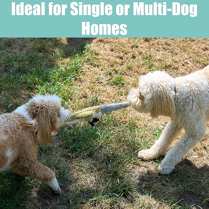 SPOT Skinneeez Raccoon 23 Inch Stuffing-Free Dog Toy – Soft Plush Tug Toy with Two Squeakers for Medium and Large Dogs – Mess-Free Interactive Chew Toy