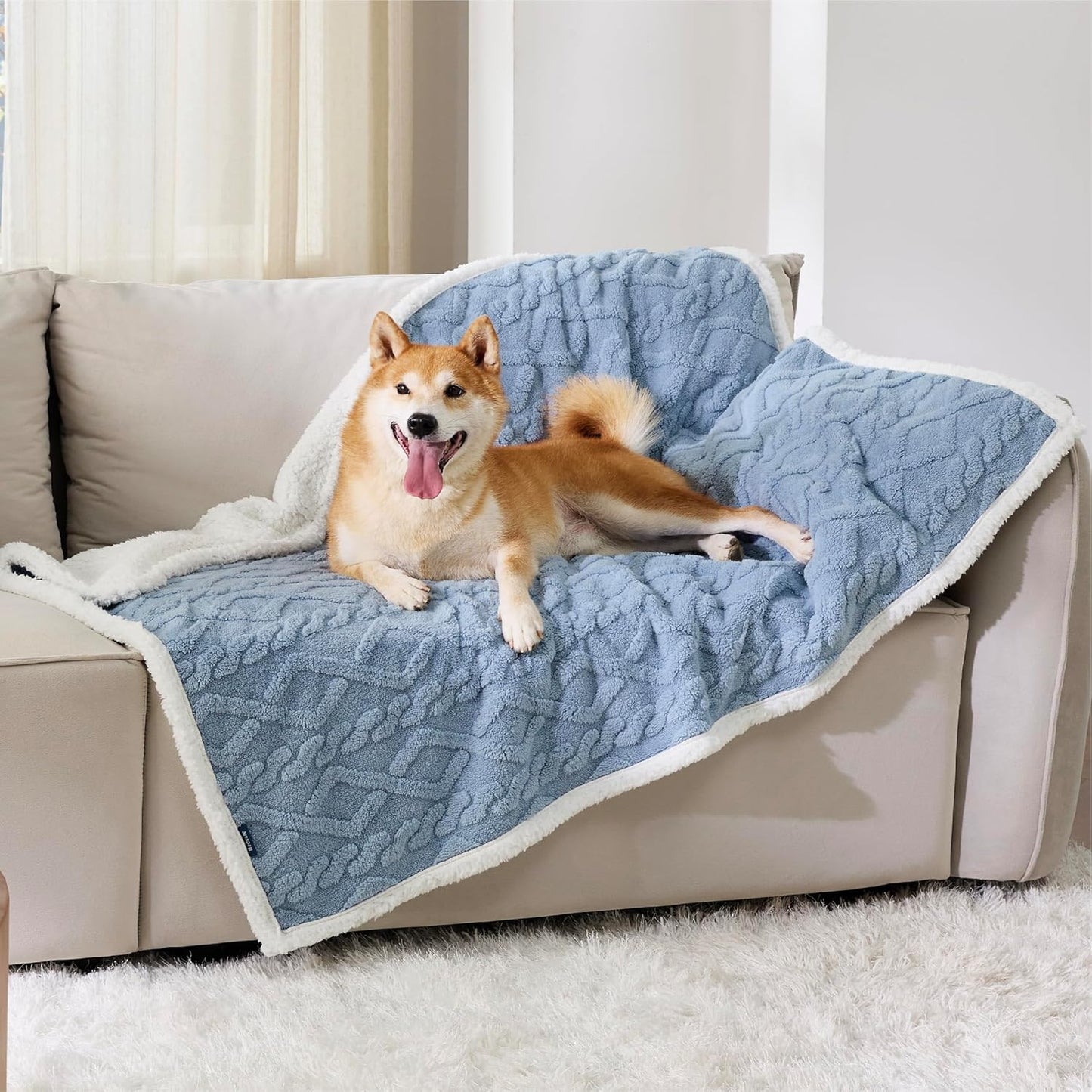 Bedsure Waterproof Dog Blankets for Large Dogs - Pet Blanket for Couch Protector Washable, Premium Jacquard Coral Fleece Cat Throw Blanket, Soft Reversible Furniture Protection, 40"x50", Light Blue