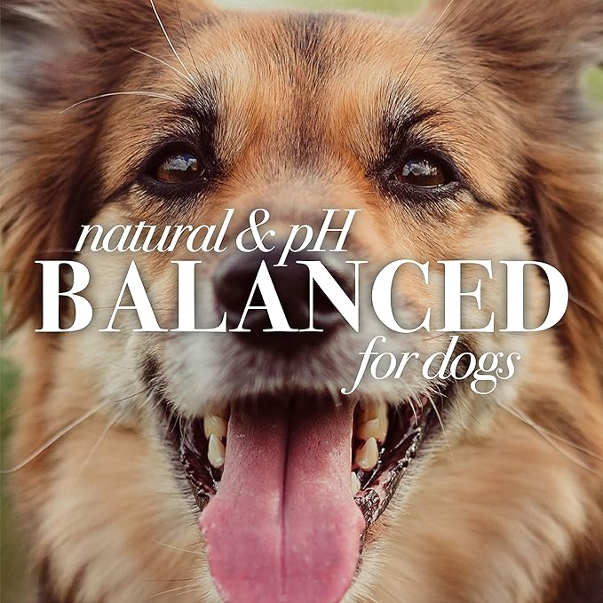 Burt's Bees for Pets Tearless Puppy Shampoo with Buttermilk, 6pk, 95% Natural Origin Formulas, Best Tearless Shampoo for Puppies - Gentle Dog and Puppy Shampoo Tear Free, 16 oz - 6 Pack