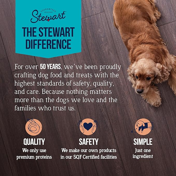 Stewart Single Ingredient Freeze Dried Raw Dog Treats, Wild Salmon, 2.75 Ounce, Approx. 55 Pieces per Resealable Pouch, Training Treats or Meal Topper, High Protein, Grain Free, Gluten Free