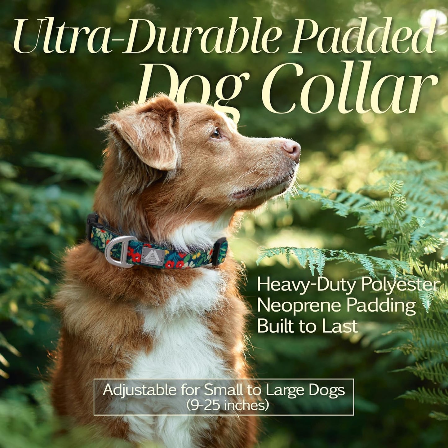 Medium Dog Collar with Reflective Logo and Soft Padded Neoprene,Floral Print Design, Adjustable,Lightweight & Durable, Neck Size 12’’-20’’ (Floral, M)