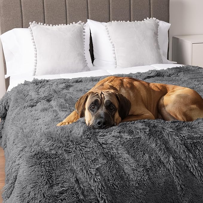 PetAmi Waterproof Dog Blanket for Large Dog, Queen Size Calming Pet Blanket Couch Cover Protector, Sherpa Faux Fur Cat Throw for Sofa Furniture Bed, Soft Fluffy XL, 90x90 Gray