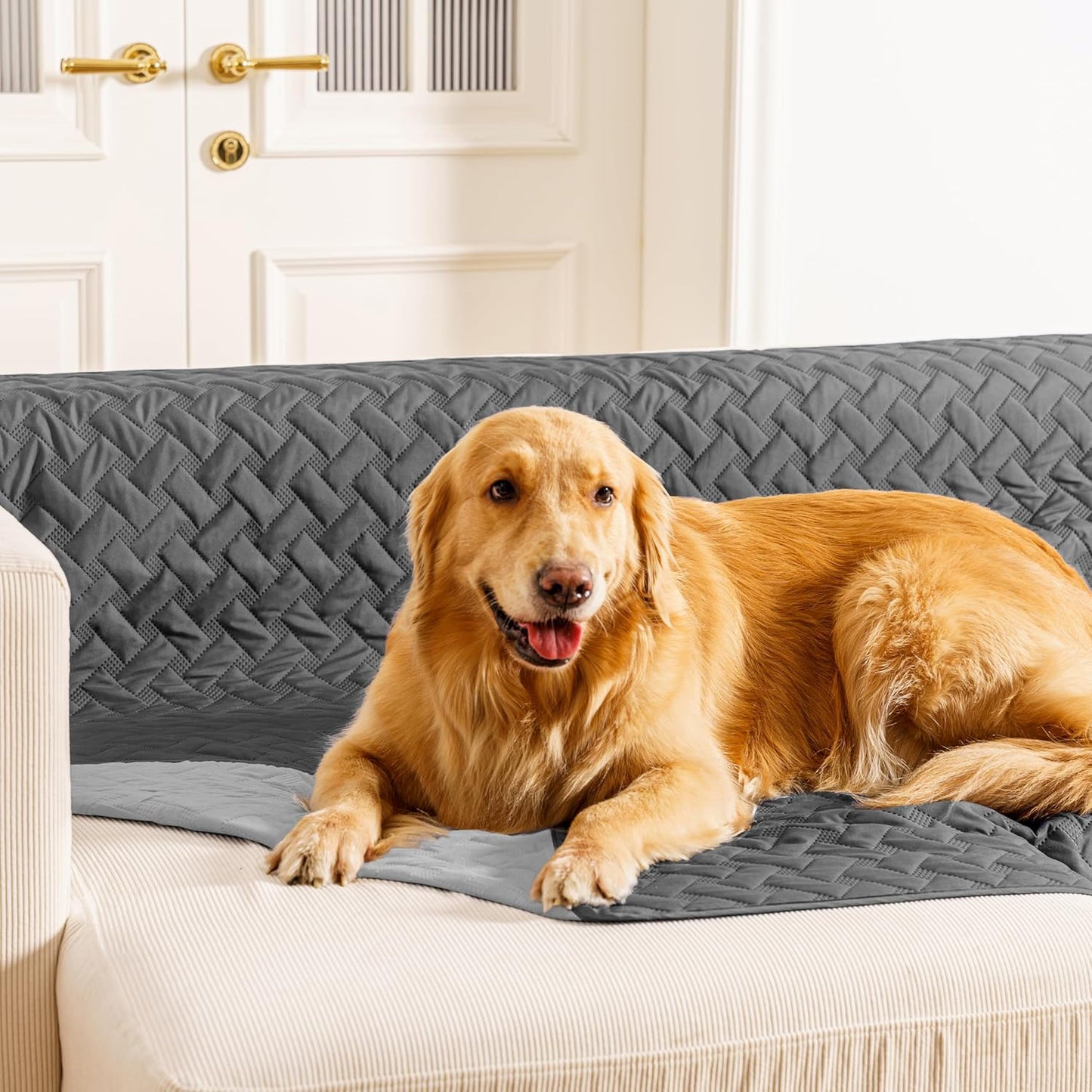 gogobunny 100% Double Sided Waterproof Dog Blanket Soft Pet Bed Cover Reversible Protect Furniture Couch Sofa Car for Puppy Cat Kids (Dark Grey/Light Grey, 40x50 Inch (Pack of 1))