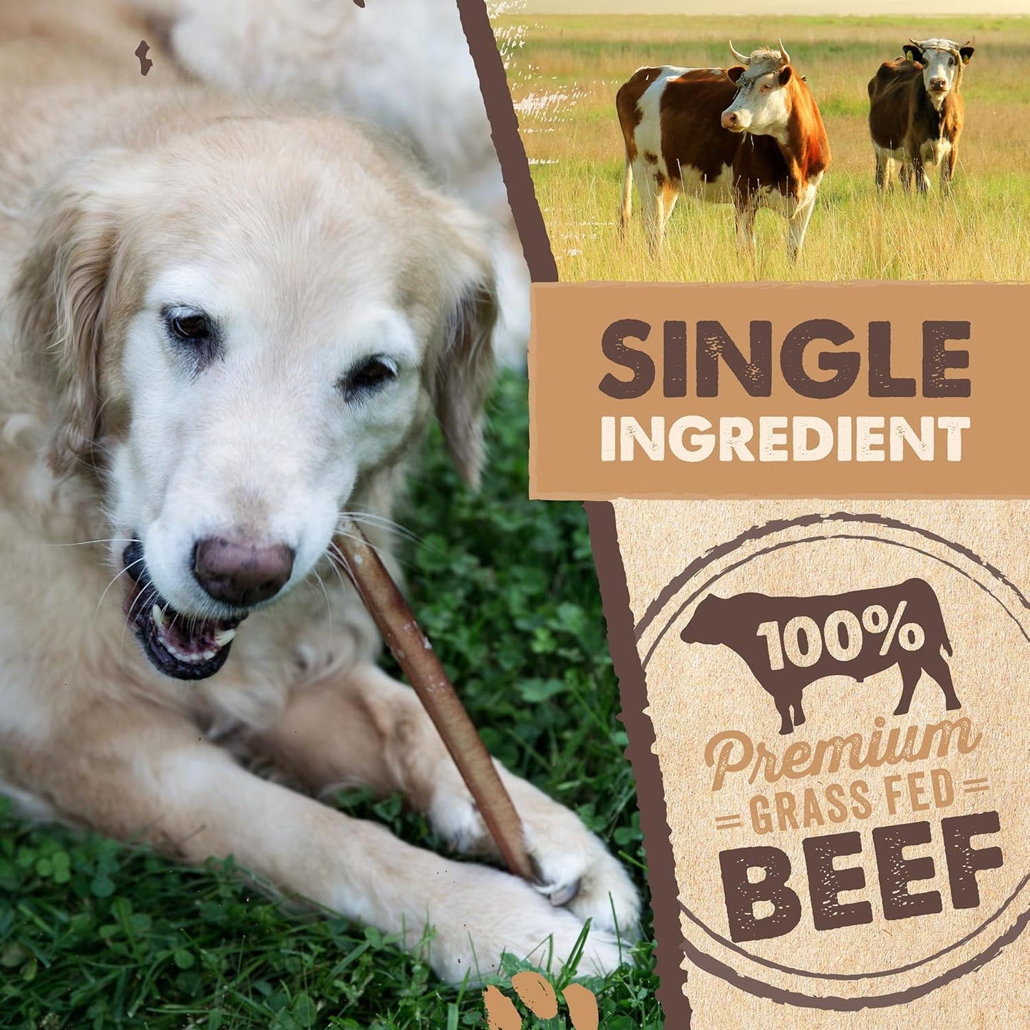 Mighty Paw Naturals Bully Sticks for Small & Medium Dogs - Grass Fed Beef Chews. Bully Sticks for Large Dogs. Lower Odor Stick Treat. Single Ingredient (6" - 5 Pack)