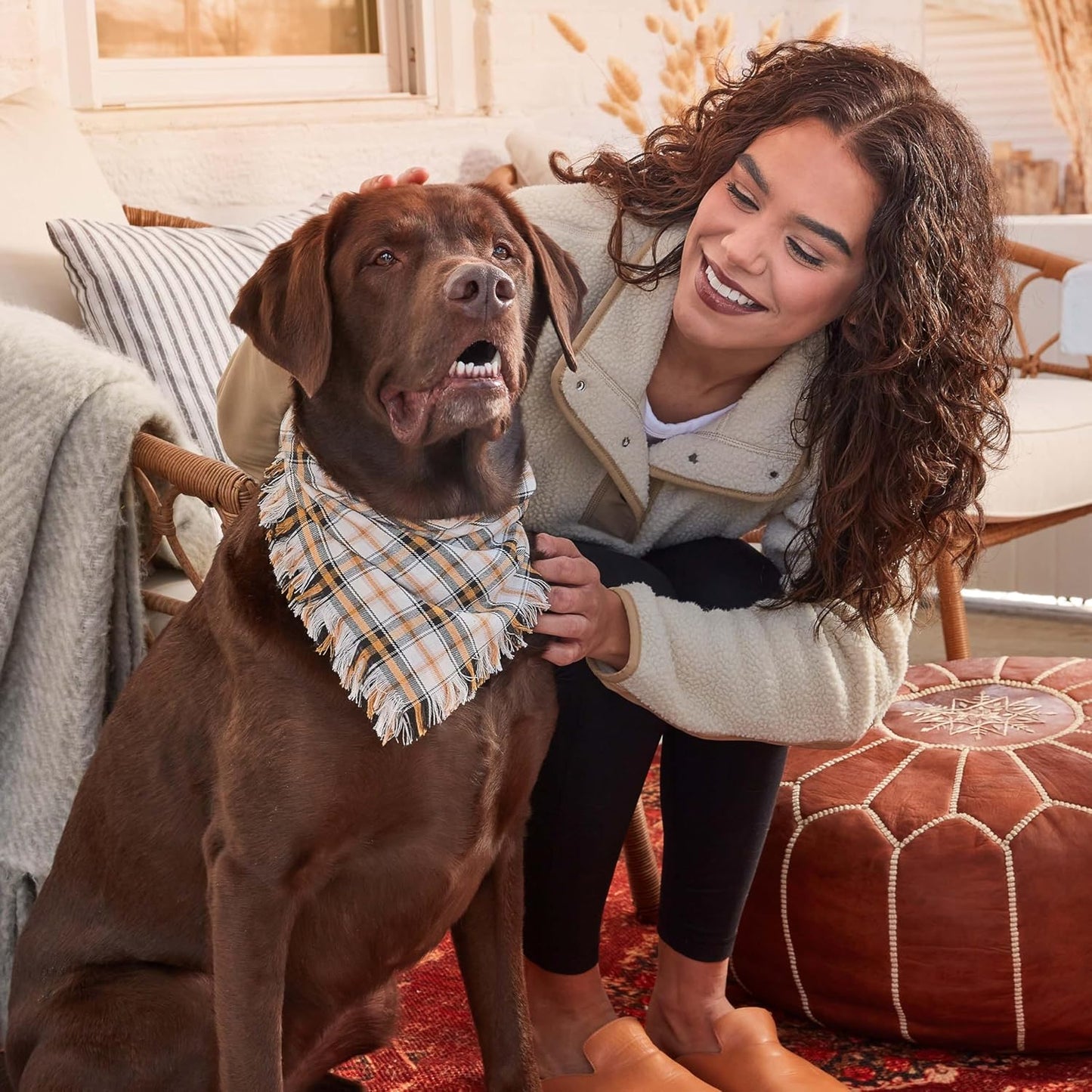 Milk-Bone Limited Edition Pup-kin Spice Flavor Small Biscuit Dog Treats, 8 Ounce