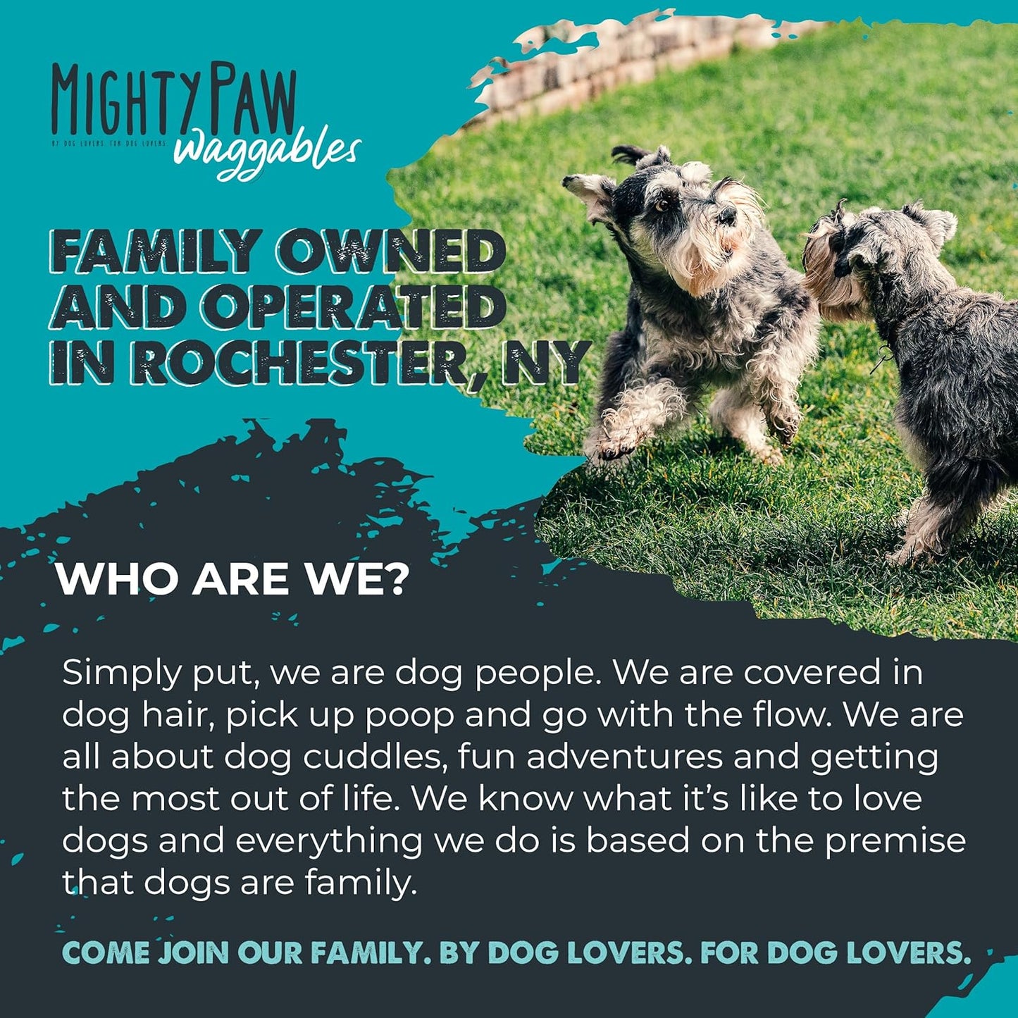 Mighty Paw Waggables Joint Support Supplement for Dogs (Made in USA) | Glucosamine for Dogs Hip and Joint Supplement. Vet Formulated Pet Mobility, Chondriotin & MSM Pet Chews (120 Ct)