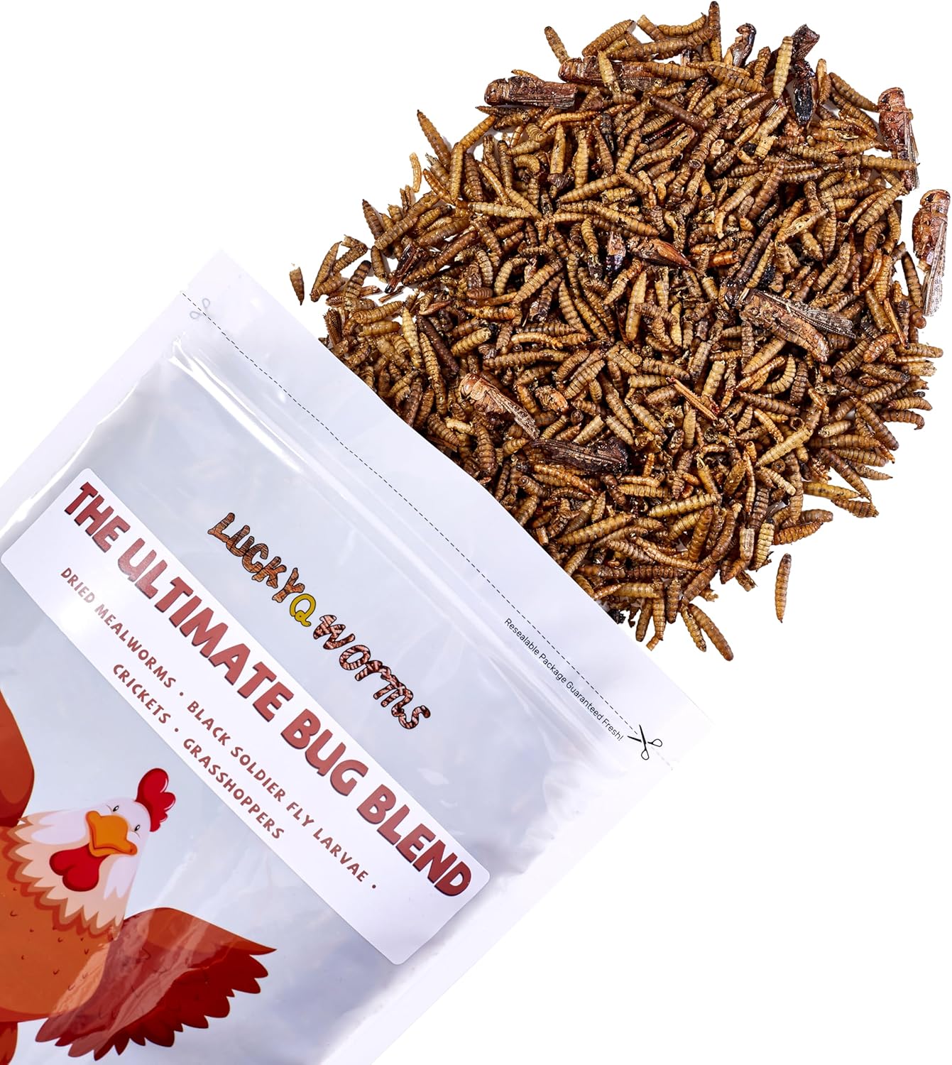 Dried Insect Trail Mix for Chickens - High Protein 42% & Calcium 1.1% for Egg Laying - Natural Treat for Birds, Reptiles, Ducks, Hedgehogs - 1 Lbs Resealable Bag
