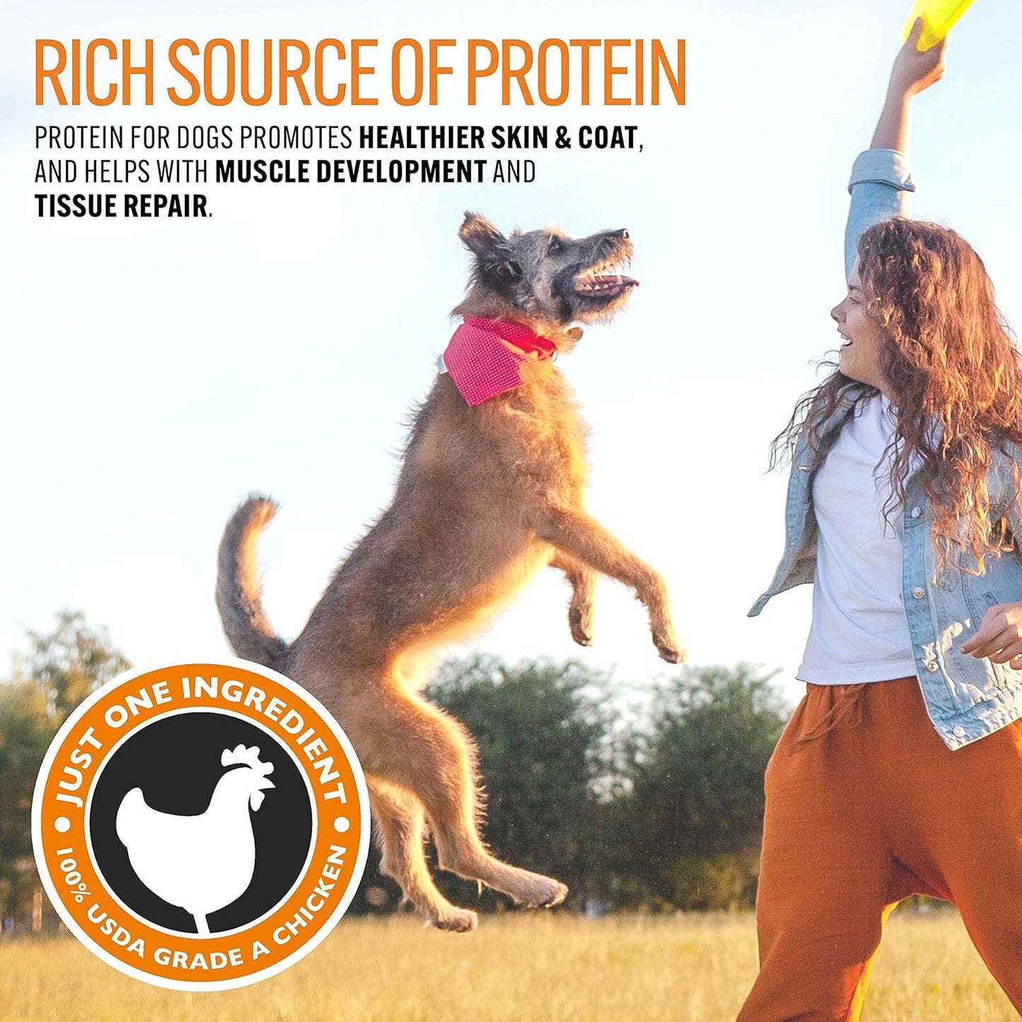 EBPP Chicken Jerky Dog Treats Made in USA - 100% Natural Jerky Treats Made with Real Chicken - Grilled Chicken Strips for Medium Dogs, Large and Small Dogs - 8oz Bag