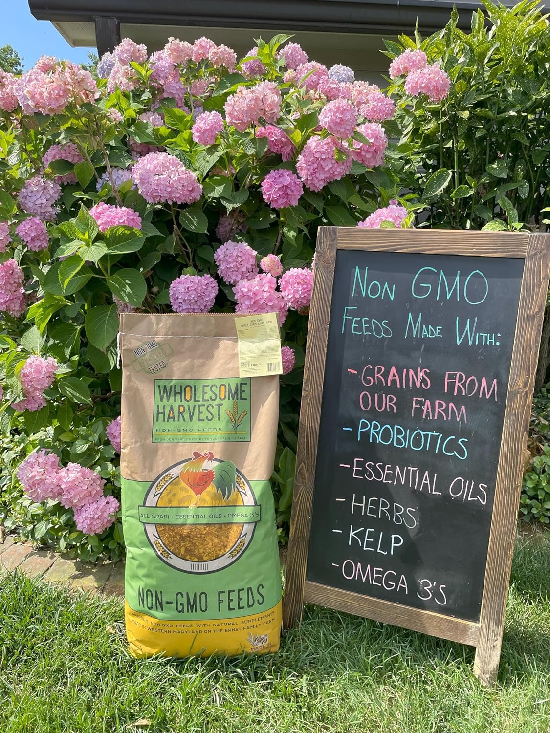 Corn & Soy-Free Chick Starter Feed - All Grain & Non-GMO Chick Food Starter with Omega 3 - Chicken Feed for Growing Healthy Chicks with High-Protein 22% and Probiotics - 40 Lb