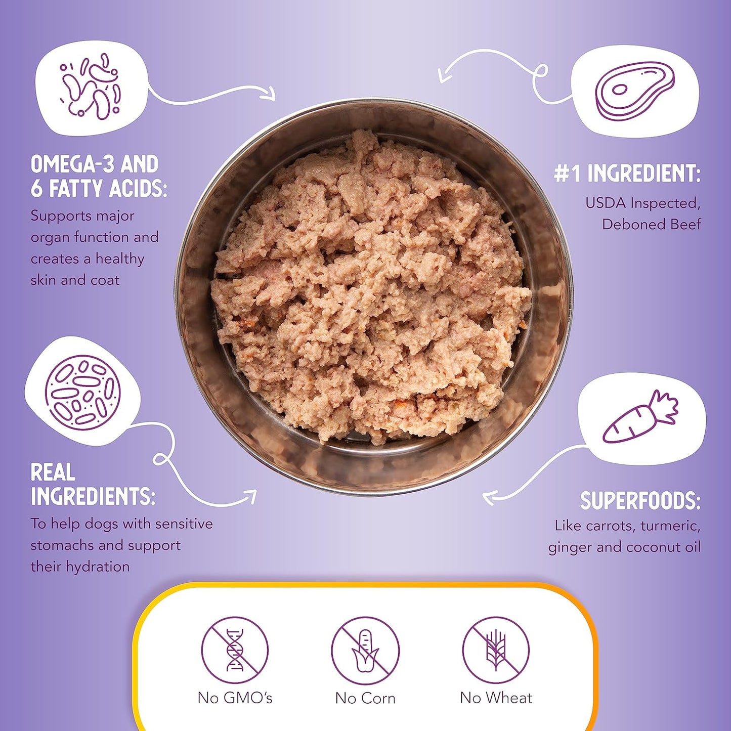 Health Extension Wet Dog Food Beef & Carrot Entrée in Gravy, 9 oz - Digestive Support with Superfoods & Antioxidants for Immune Support (Case of 12 Cans)