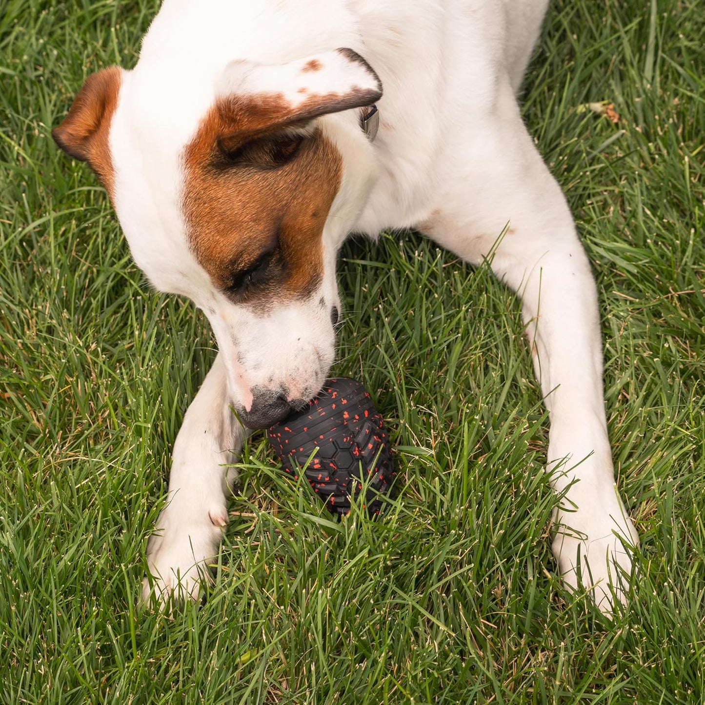 Chew King Supreme Dog Toy Collection, Large Supreme Treater