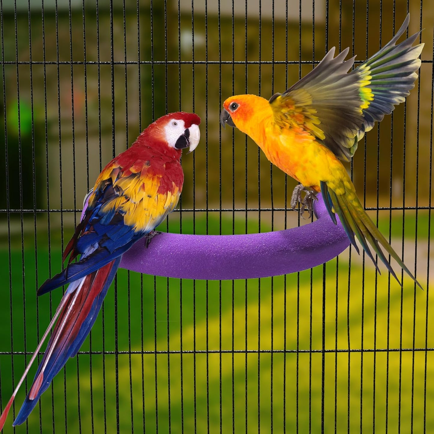 U Shape Parrot Perch Stand Toy Bird Platform Sand Paw Grinding Clean Stick Exercise Conure Budgie Cockatiel Cage Accessories (Purple)