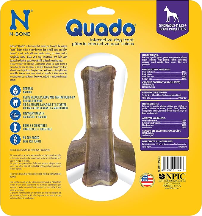 N-Bone Nbone 115097 Quado in Pumpkin, Large (575174)