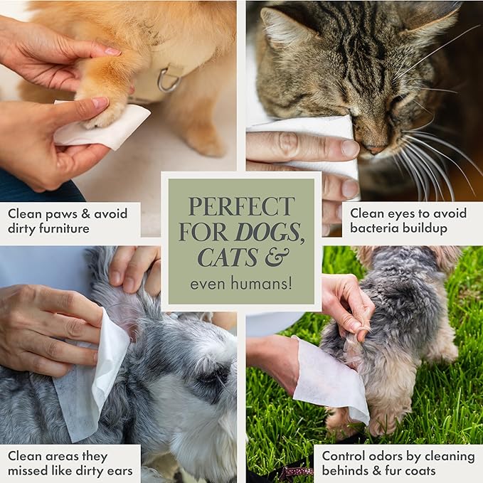 Dog Wipes – Fragrance-Free, Alcohol-Free, Hypoallergenic Pet Grooming Wipes with Aloe Vera, Biodegradable, for Dogs & Cats: Paws, Face, Ears & Butt – 2-Pack (140 Count)