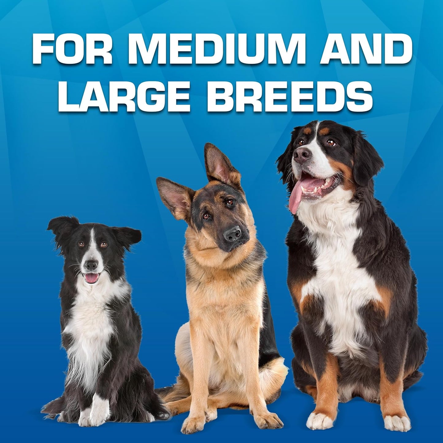 Nerf Dog Trackshot Toss and Tug Ring Outdoor Dog Toy 2 Pack, 9 Inch Dog Tug and Fetch Toy, for Medium and Large Breeds, Blue/Orange/Green