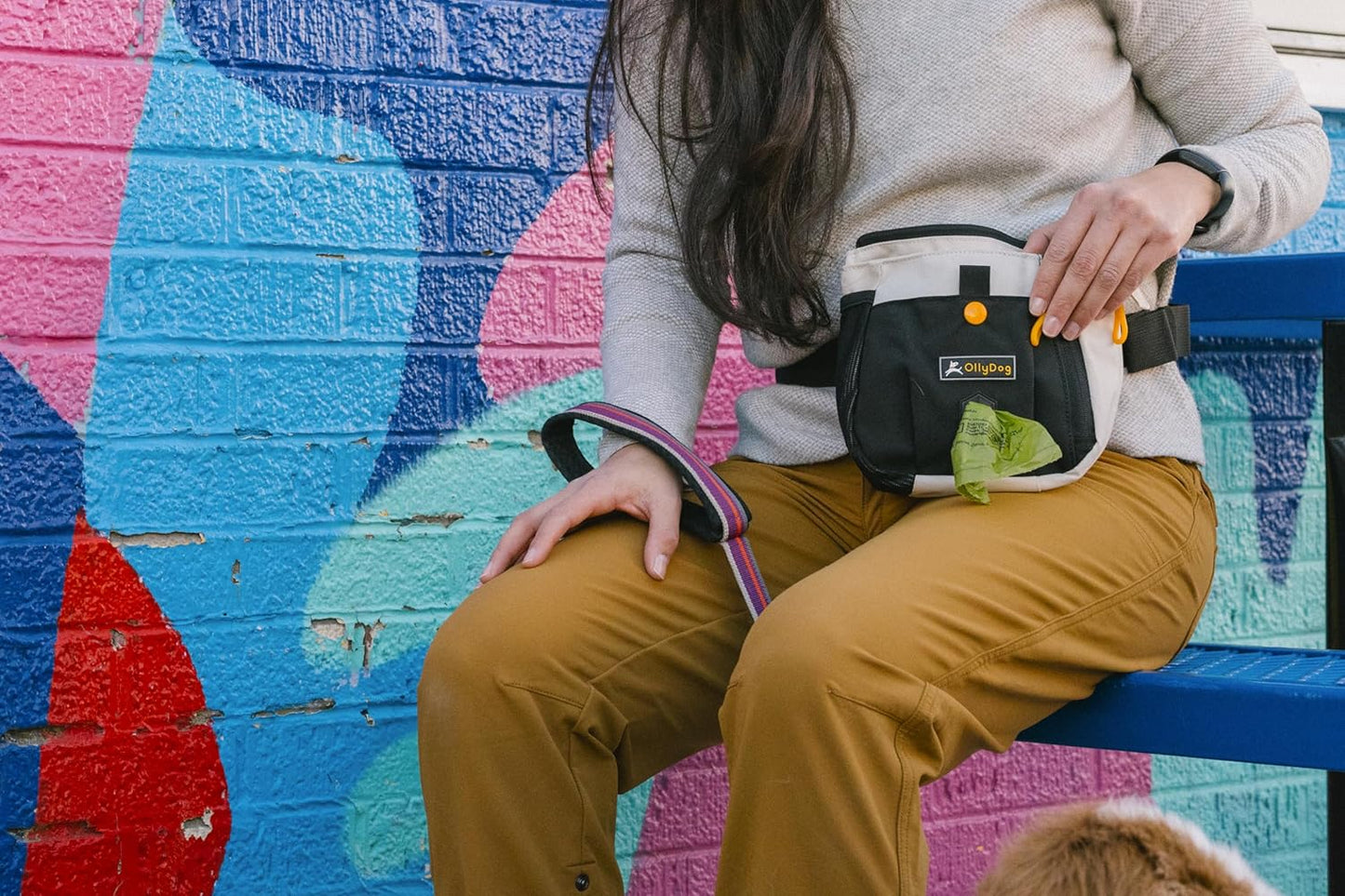 OllyDog Backcountry Day Bag | Hands-Free Dog Training Treat Pouch | Fanny/Hip Pack with Zipper Closure & Built-in Poop Bag Dispenser | Removable Waist Clip (Bluff)