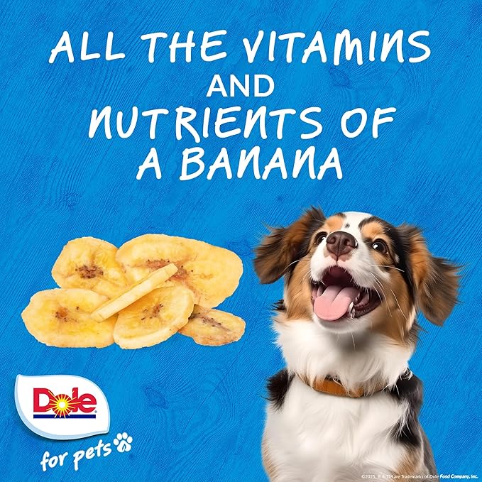 Dole for Pets Air Dried Banana Dog Treats, 6oz |Made with Real Banana, Single Ingredient, Limited Ingredient Dog Treats, No Wheat, Corn, Soy, Artificial Flavors, Colors, or Preservatives
