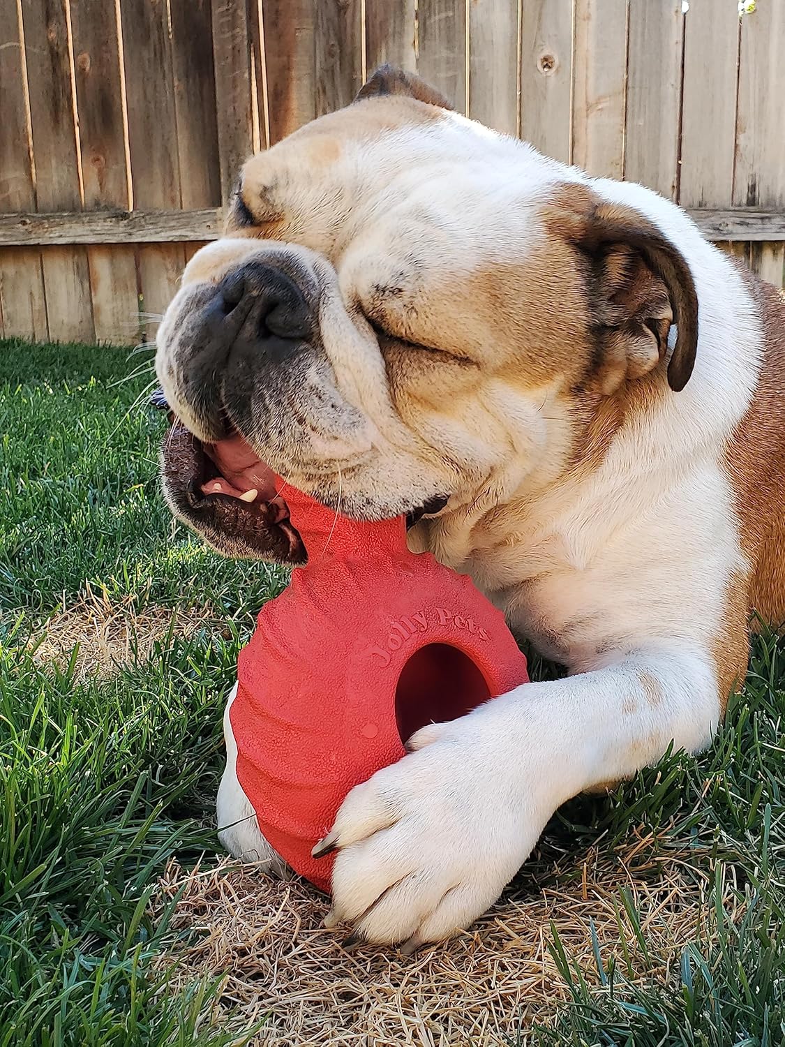 Jolly Pets Tuff Treader Dog Toy with Handle, 6 Inches, Red, Model:JTR23, All Breed Sizes