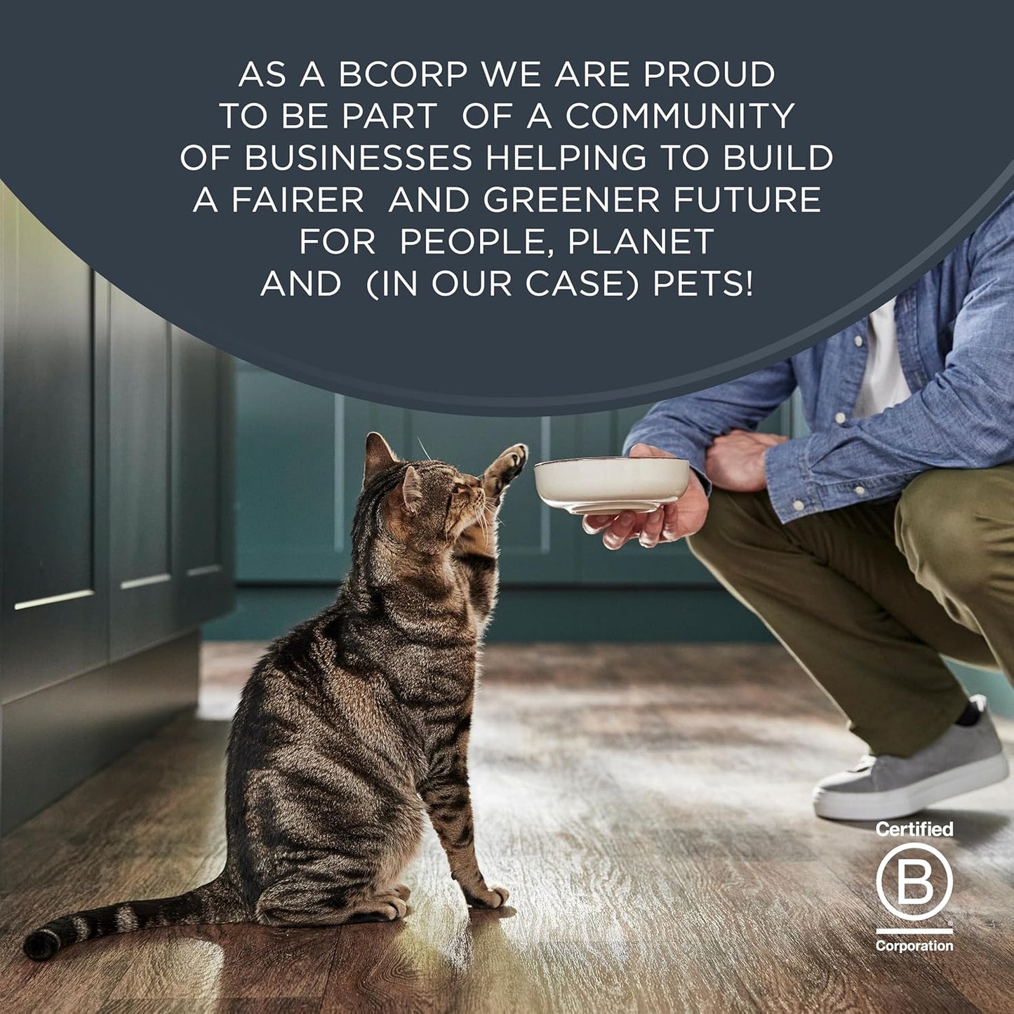 Reveal Natural Cat Treats, 8 Count, Single Ingredient Treats for Cat, Grain Free, Freeze Dried Chicken, 0.88 oz Bags