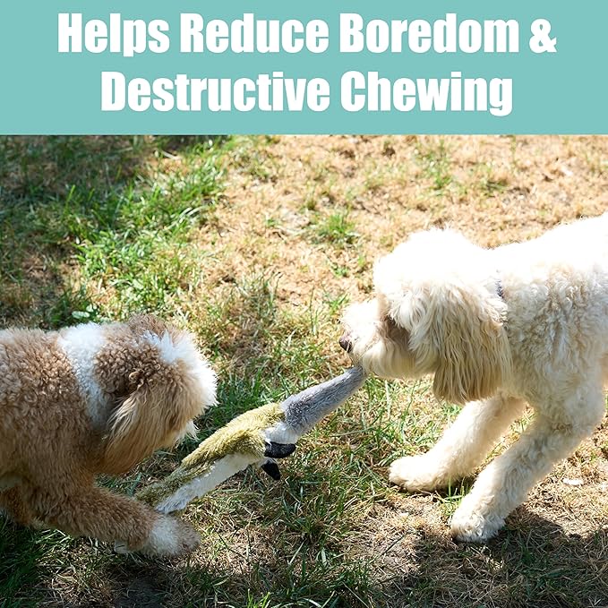 SPOT Skinneeez Raccoon 23 Inch Stuffing-Free Dog Toy – Soft Plush Tug Toy with Two Squeakers for Medium and Large Dogs – Mess-Free Interactive Chew Toy