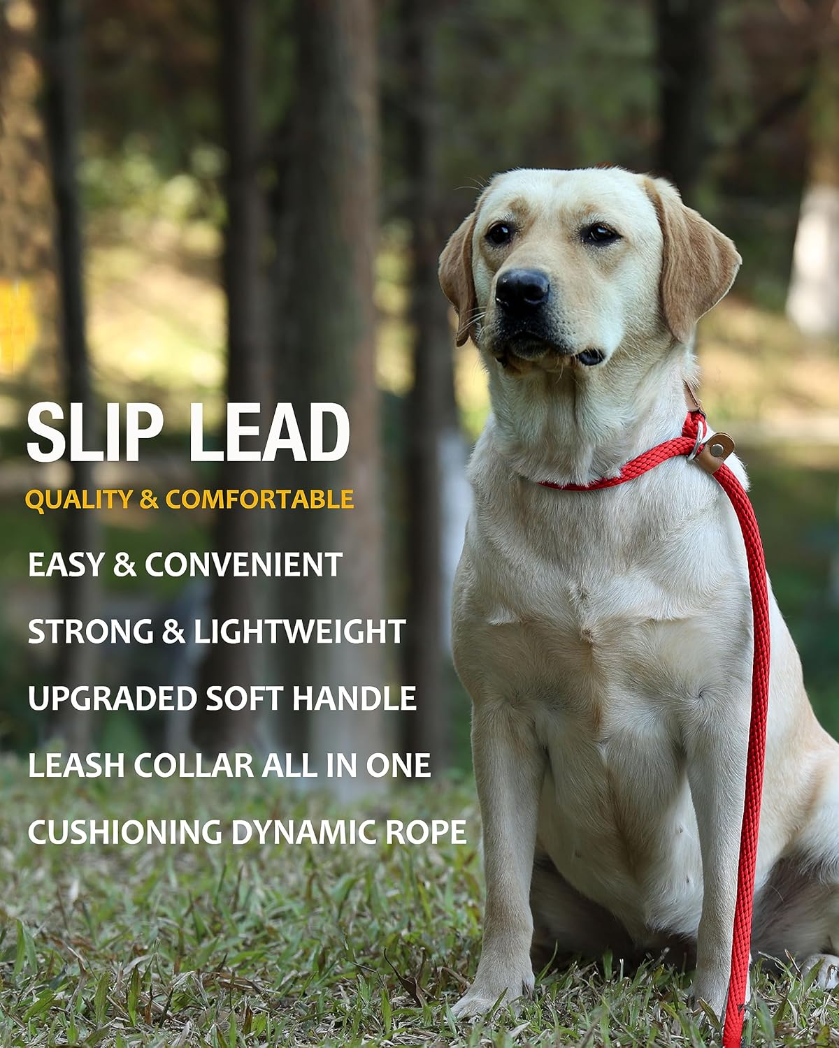 lynxking 6 FT Dog Leash Slip Lead 2 Pack Strong Heavy Duty Braided Dog Training Leash No Pull Training Lead Leashes for Medium Large and Small Dogs