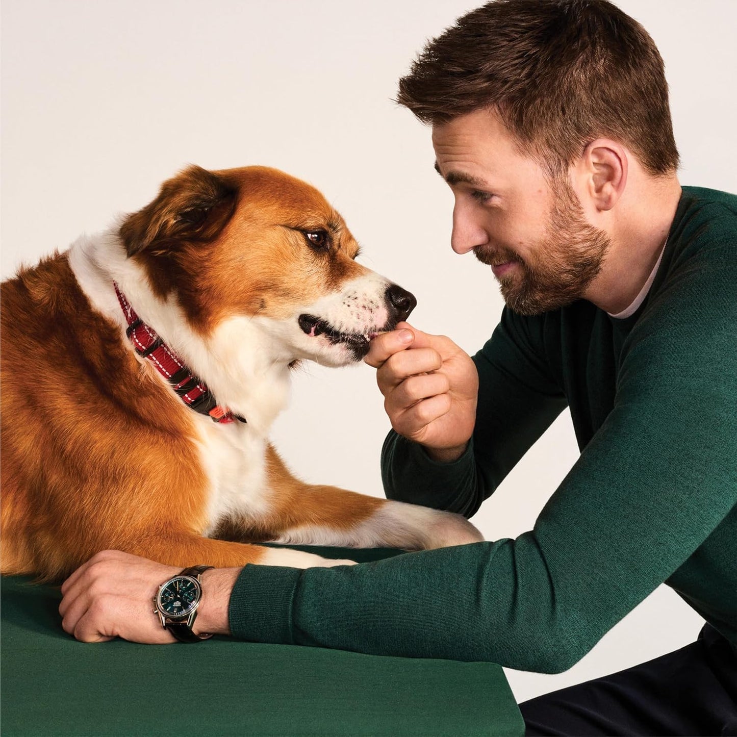 Jinx Oven-Baked Beef Bone Broth Mini Biscuit Dog Treats - Crunchy, All Natural, Superfood-Rich with Grass-Fed Beef, Dog Biscuits for Puppies, Adults & Seniors - 32oz