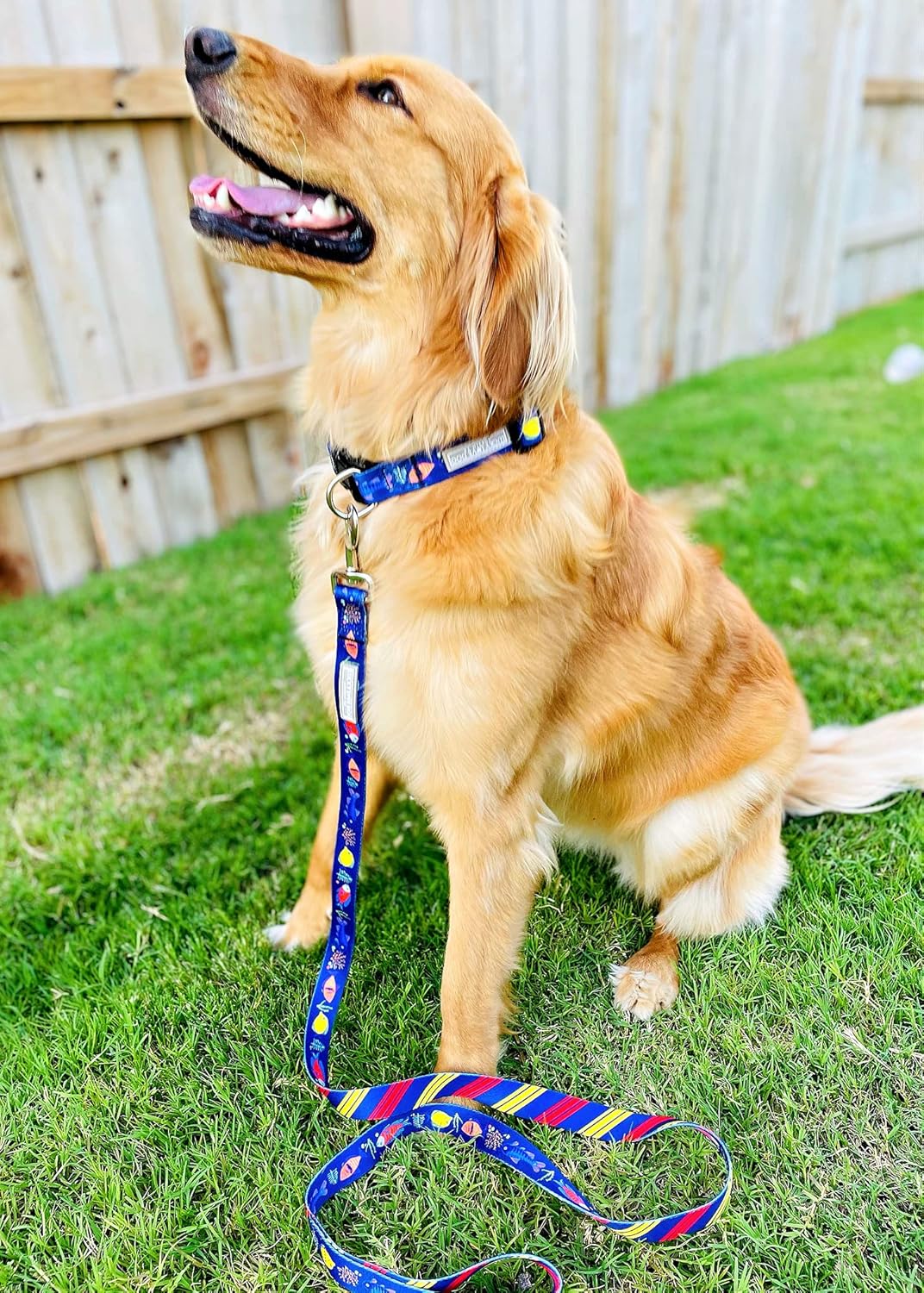 Lucky Love Dog - Easy Click Buckle Dog Collar with Leash Set Combo, Durable & Comfortable for Male & Female Dogs, Pet Collar for Small to Large Dogs, Secure Fit - Mackey Combo, Small