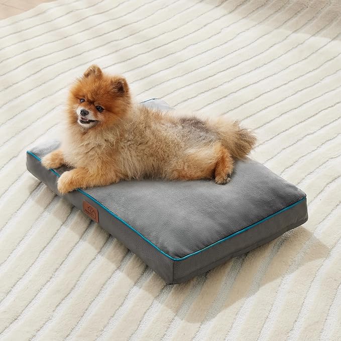 Bedsure Washable Dog Bed for Small Dogs - 2.5 Inch Thicken Up to 30lbs Pet Mat Pillows with Removable Washable Cover, Grey