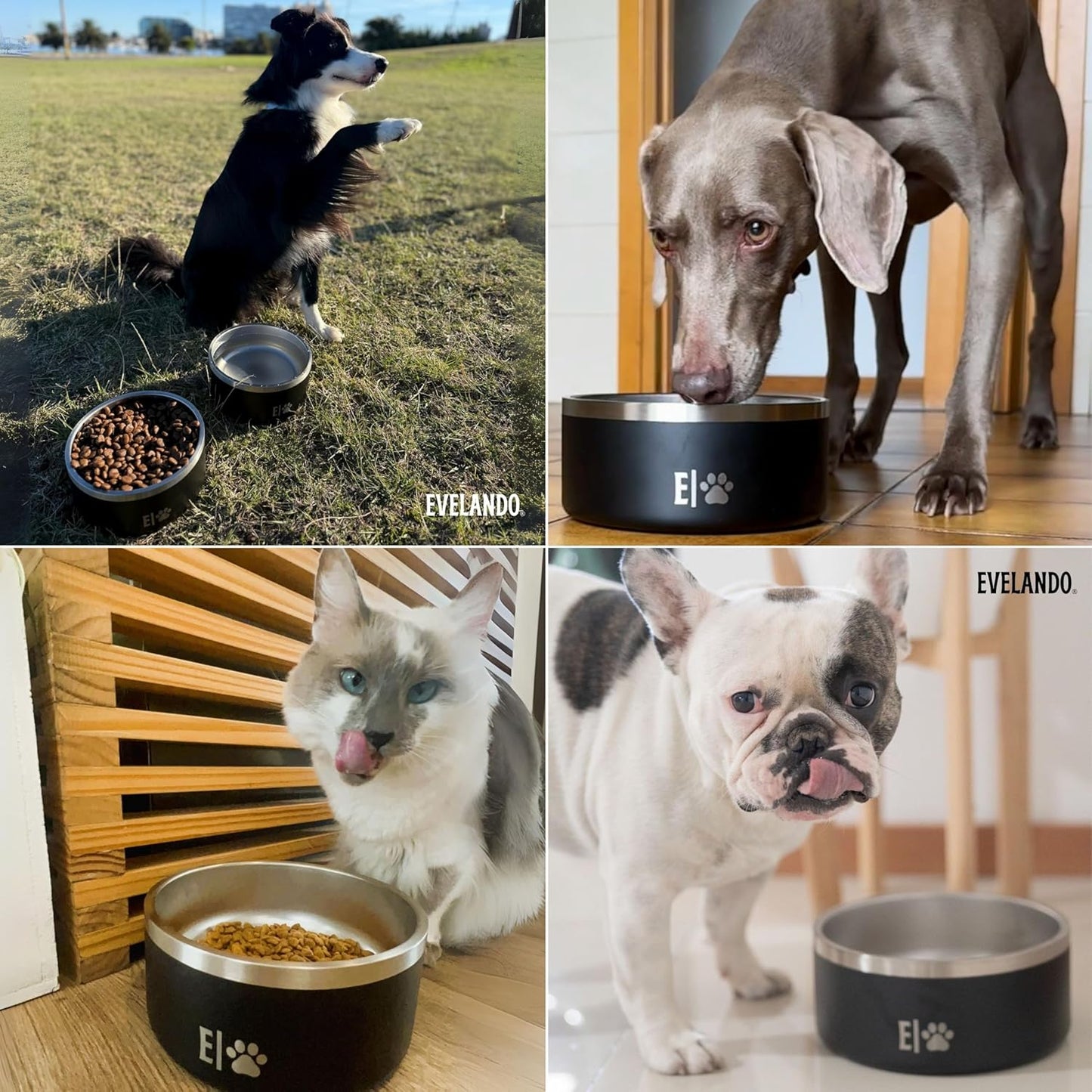 EVELANDO® Premium Dog Food Bowl 64 oz Stainless Steel 8 Cups Medium Large Dog Bowls Non Slip & BPA-Free L X XL Pet Water Bowl Platos para Perros Indoor Outdoor Pet Dish Feeder Water and Food Dish