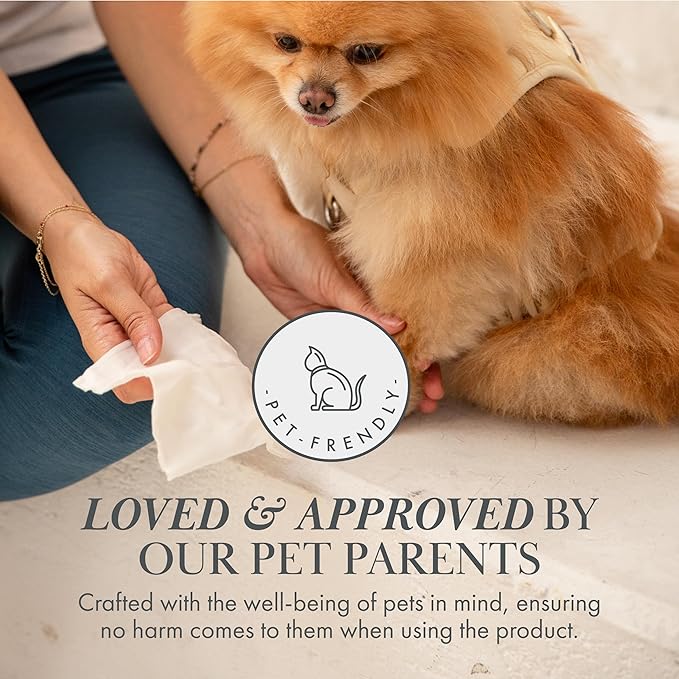 Dog Wipes – Fragrance-Free, Alcohol-Free, Hypoallergenic Pet Grooming Wipes with Aloe Vera, Biodegradable, for Dogs & Cats: Paws, Face, Ears & Butt – 2-Pack (140 Count)