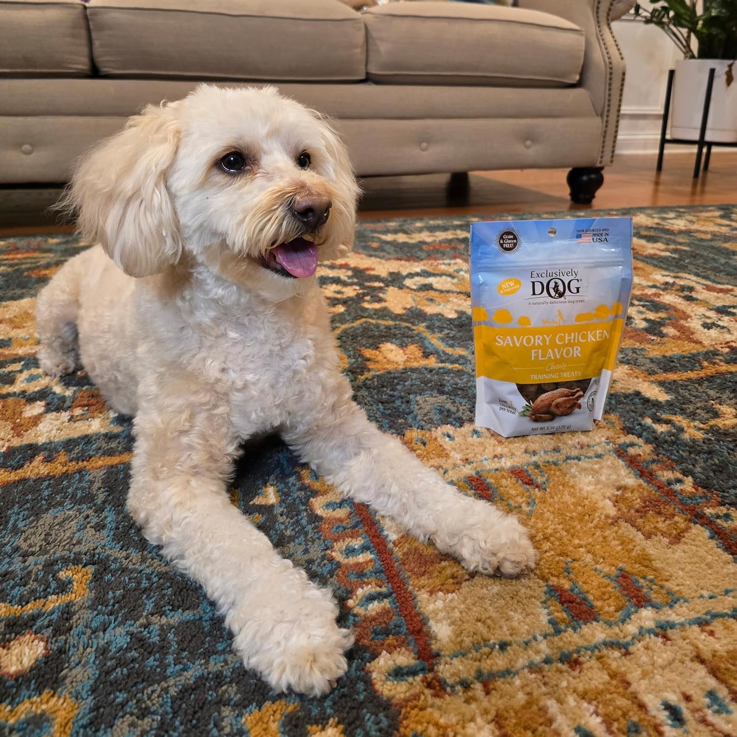 Exclusively Dog Chewy Training Treats Savory Chicken Flavor Grain Free Gluten Free, 100% sourced and Made in The USA, 6 oz.