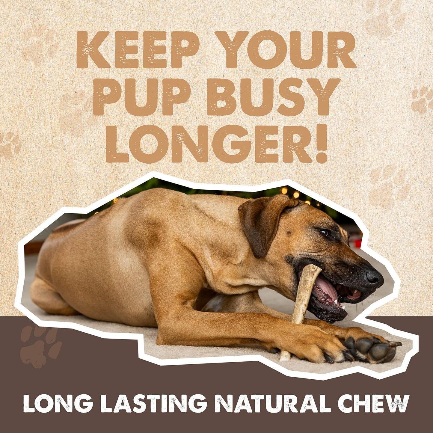 Mighty Paw Elk Antlers for Dogs | Large Size 8'' Premium Deer Antlers, Pets &Puppies. Long Lasting Aggressive Chewers. Dog Antler Chews for Large &XL Dog,1 Count (Pack of 1)