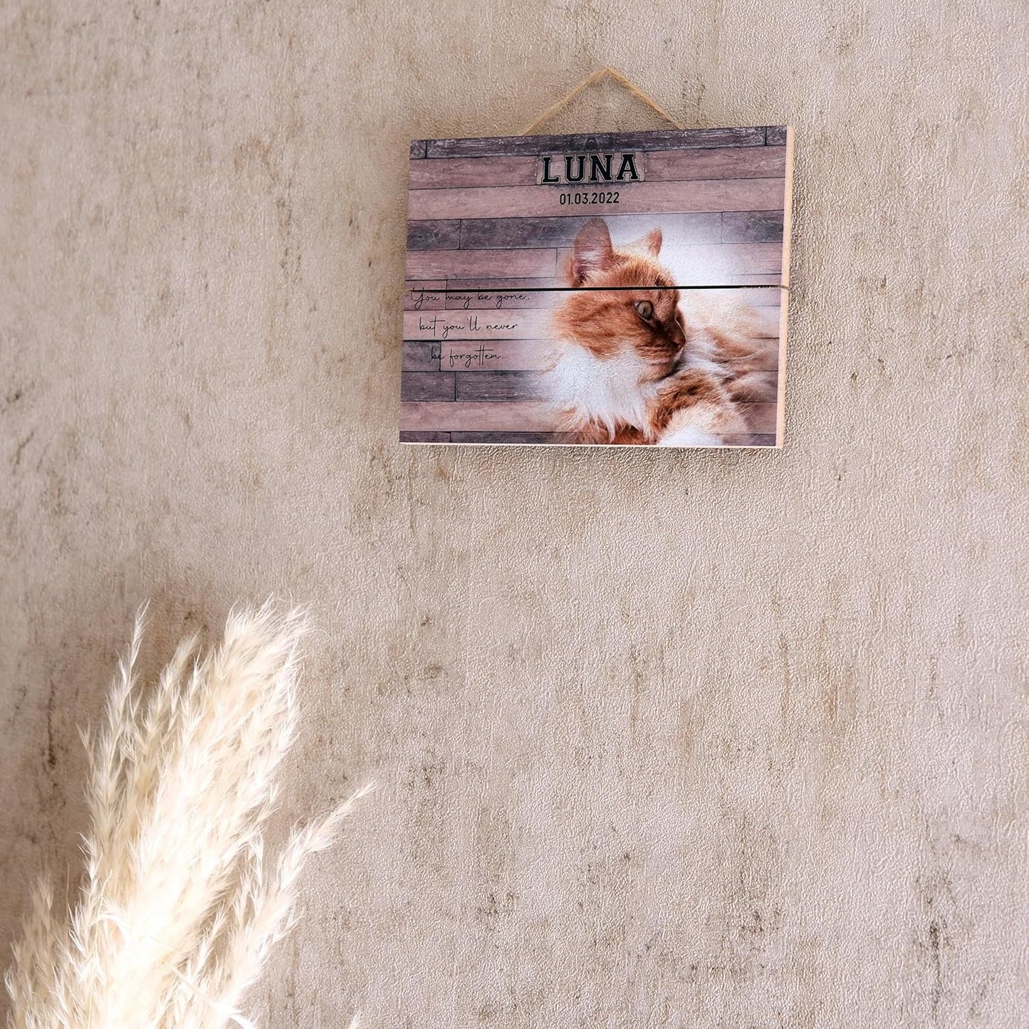 Custom Pet Memorial Night Light Gift Personalized Cat Acrylic Plaque Photo Frame Sympathy Gift Condolence Gifts with Picture Name (Cat Memorial)