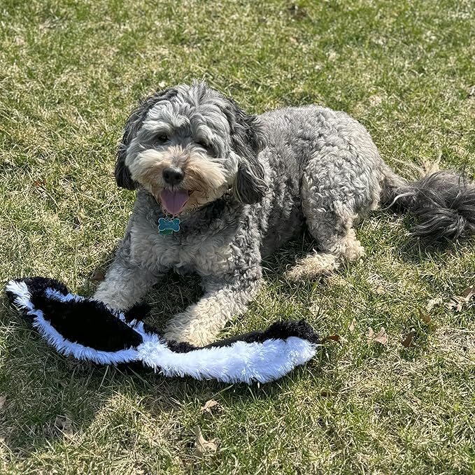 SPOT Skinneeez Skunk 23-Inch Stuffing-Free Plush Dog Toy – Realistic Design with 2 Squeakers – Durable, Soft Polyester for Medium & Large Dogs – Tug, Fetch & Shake Play – for Moderate Chewers